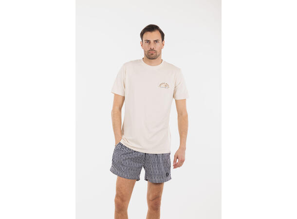 Hawaii Shorts AOP Graphite stripe XL Printed swim shorts 