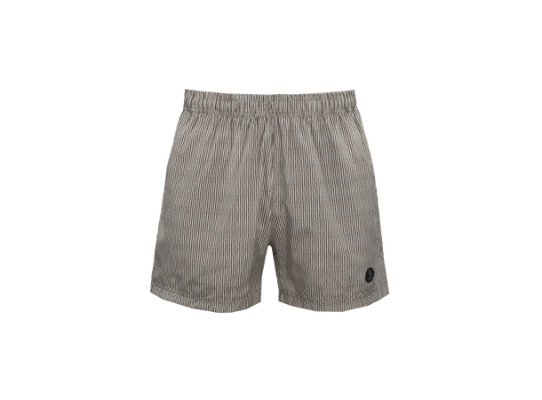 Hawaii Shorts AOP Sea turtle stripe S Printed swim shorts 