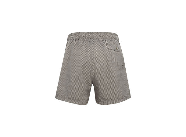 Hawaii Shorts AOP Sea turtle stripe S Printed swim shorts 