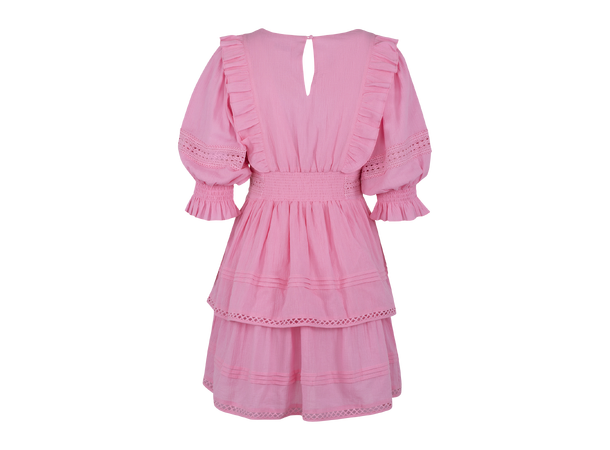 Felippa Dress Sachet Pink XL Short lace dress 