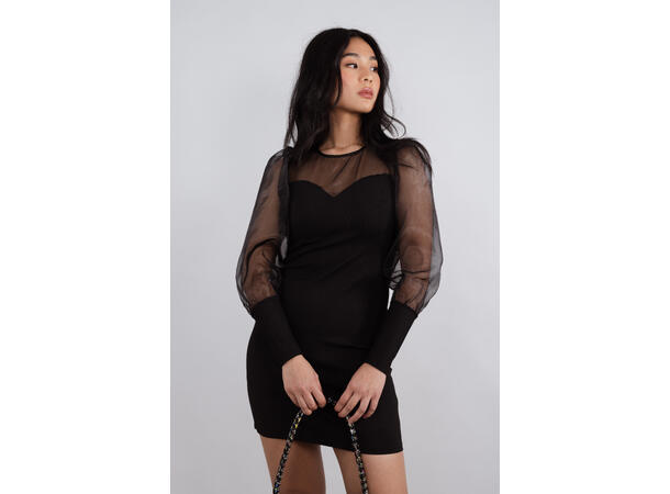 Elfi Dress Black S Organze sleeved dress 