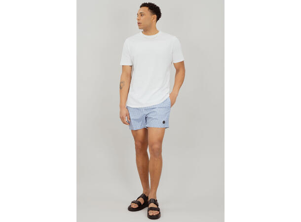 Hawaii Shorts AOP Blue Bonnet Stripe L Printed swim shorts 