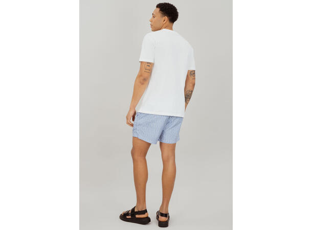 Hawaii Shorts AOP Blue Bonnet Stripe L Printed swim shorts 
