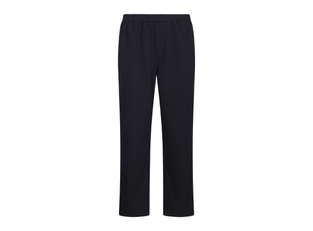 Hayden Pants Navy M Wool jogger pants 